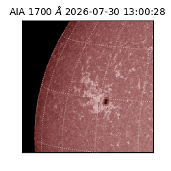 saia - 2026-07-30T13:00:28.717000