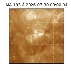 saia - 2026-07-30T09:00:04.842000