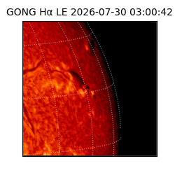 gong - 2026-07-30T03:00:42