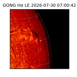 gong - 2026-07-30T07:00:42