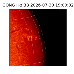 gong - 2026-07-30T19:00:02