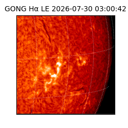 gong - 2026-07-30T03:00:42