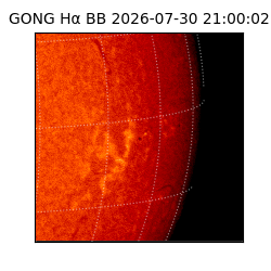 gong - 2026-07-30T21:00:02