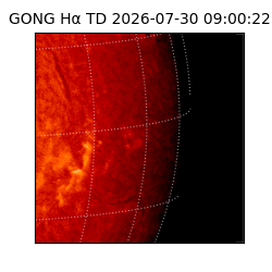 gong - 2026-07-30T09:00:22