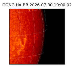 gong - 2026-07-30T19:00:02