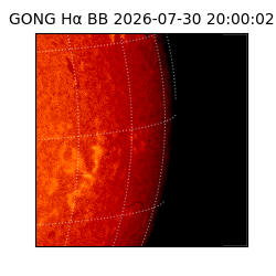 gong - 2026-07-30T20:00:02