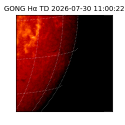 gong - 2026-07-30T11:00:22