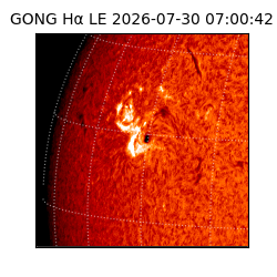 gong - 2026-07-30T07:00:42
