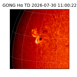 gong - 2026-07-30T11:00:22