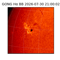gong - 2026-07-30T21:00:02