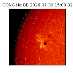 gong - 2026-07-30T15:00:02