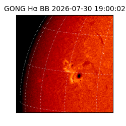 gong - 2026-07-30T19:00:02