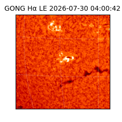 gong - 2026-07-30T04:00:42