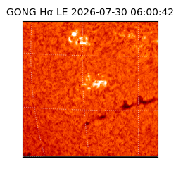 gong - 2026-07-30T06:00:42