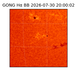 gong - 2026-07-30T20:00:02