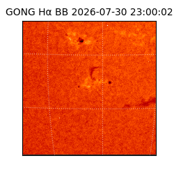 gong - 2026-07-30T23:00:02