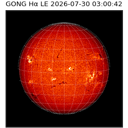 gong - 2026-07-30T03:00:42