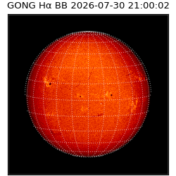 gong - 2026-07-30T21:00:02