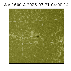 saia - 2026-07-31T04:00:14.123000