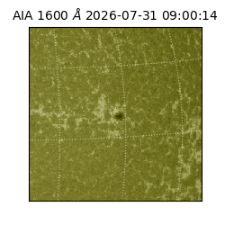 saia - 2026-07-31T09:00:14.124000
