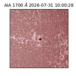 saia - 2026-07-31T10:00:28.717000