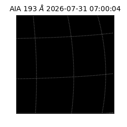saia - 2026-07-31T07:00:04.842000