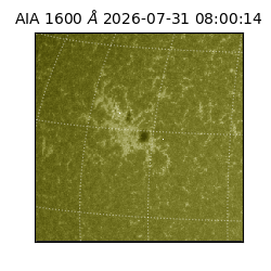 saia - 2026-07-31T08:00:14.123000