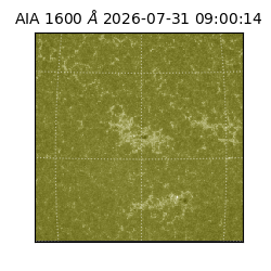 saia - 2026-07-31T09:00:14.124000