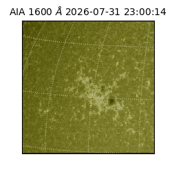 saia - 2026-07-31T23:00:14.124000