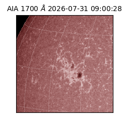 saia - 2026-07-31T09:00:28.716000