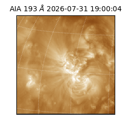 saia - 2026-07-31T19:00:04.842000