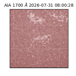 saia - 2026-07-31T08:00:28.717000
