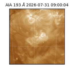 saia - 2026-07-31T09:00:04.842000