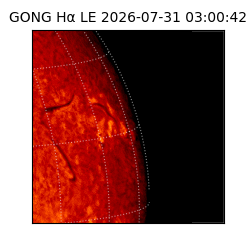 gong - 2026-07-31T03:00:42
