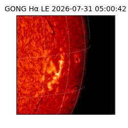 gong - 2026-07-31T05:00:42