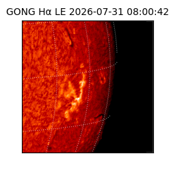 gong - 2026-07-31T08:00:42