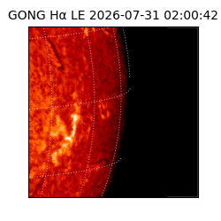 gong - 2026-07-31T02:00:42