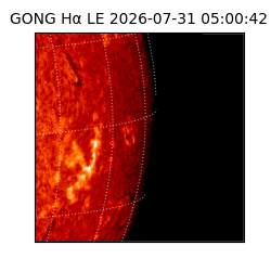 gong - 2026-07-31T05:00:42