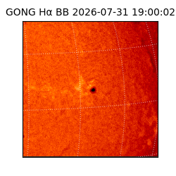 gong - 2026-07-31T19:00:02