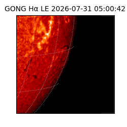 gong - 2026-07-31T05:00:42