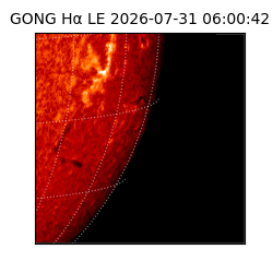 gong - 2026-07-31T06:00:42