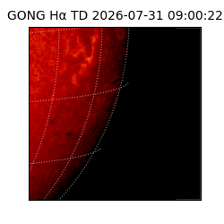 gong - 2026-07-31T09:00:22