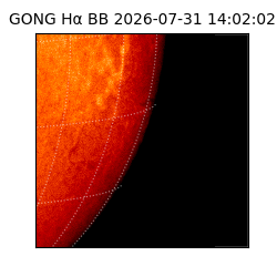 gong - 2026-07-31T14:02:02