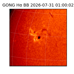gong - 2026-07-31T01:00:02
