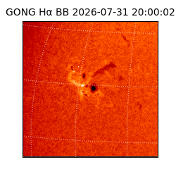 gong - 2026-07-31T20:00:02