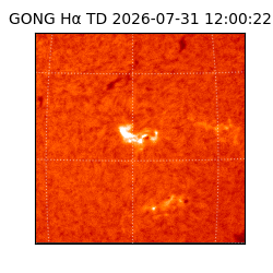 gong - 2026-07-31T12:00:22