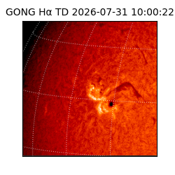 gong - 2026-07-31T10:00:22