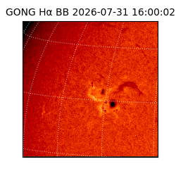 gong - 2026-07-31T16:00:02