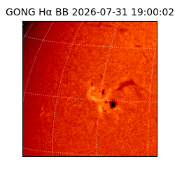 gong - 2026-07-31T19:00:02