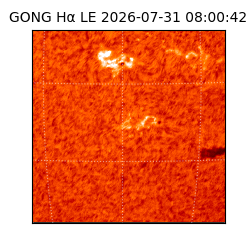 gong - 2026-07-31T08:00:42